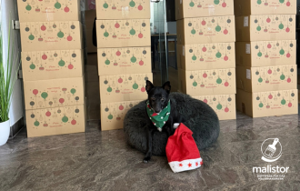 Gemeinsam Verantwortung übernehmen – zur Weihnachtszeit